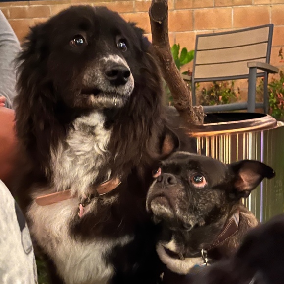 zoomandmarbles
